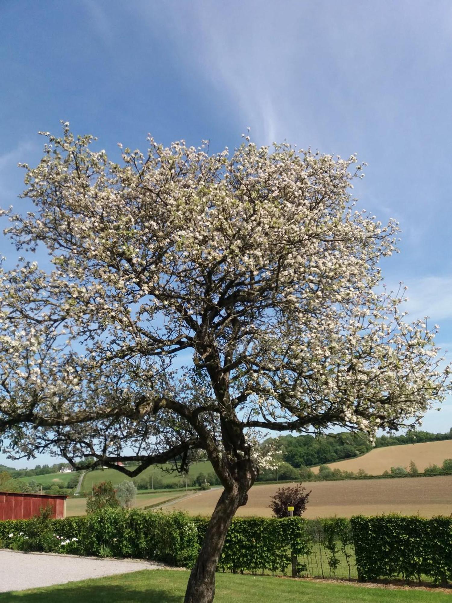 Les Gites De La Cuesta Henneveux ภายนอก รูปภาพ